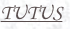 shapeimage_2_link_2